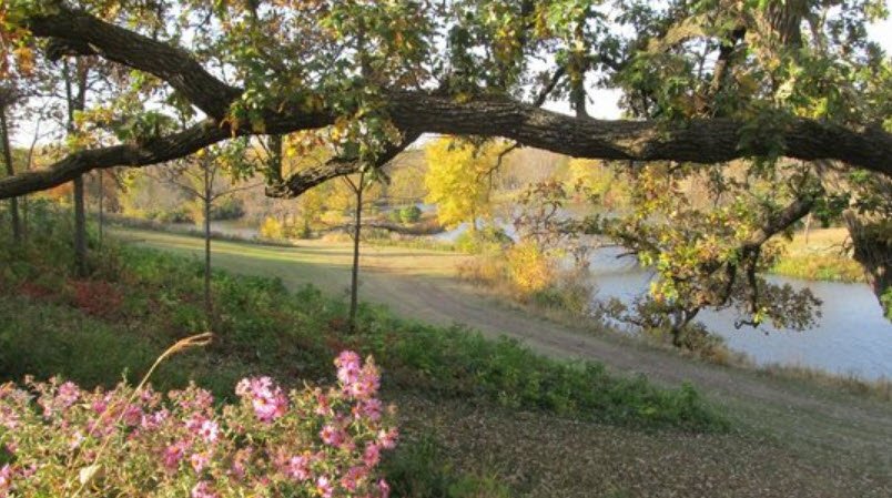 Carleton College Cowling Arboretum